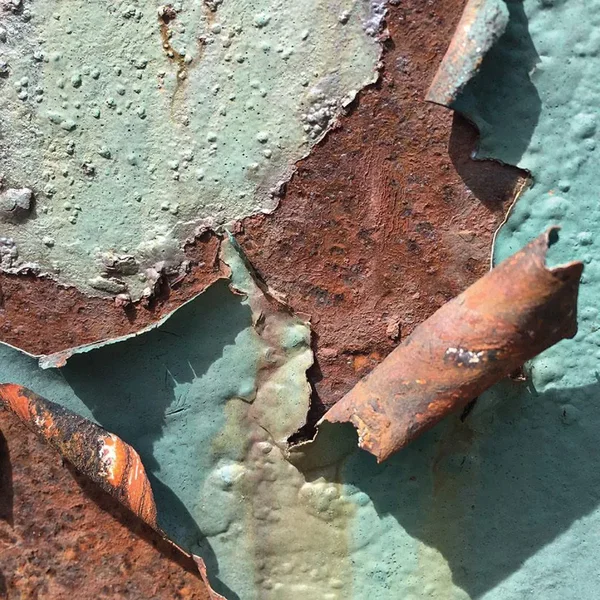 Mosquitoes and Crabs