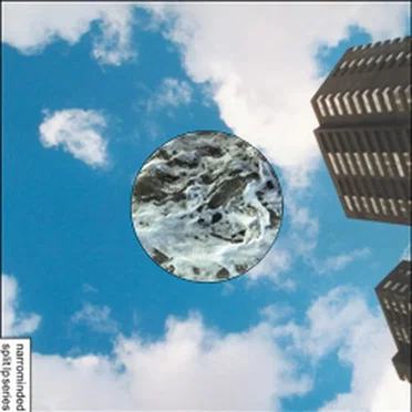 Narrominded Split LP Series #4