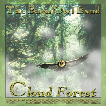 The Barn Owl Band