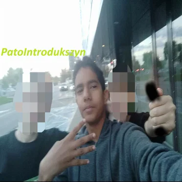 PatoIntrodukszyn