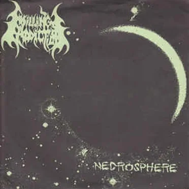 Necrosphere by Killing Addiction - album cover