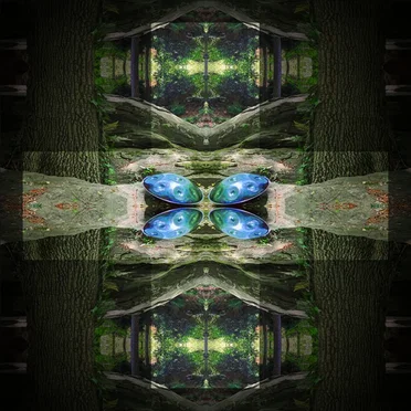 Inward Journey 4: Reintegration