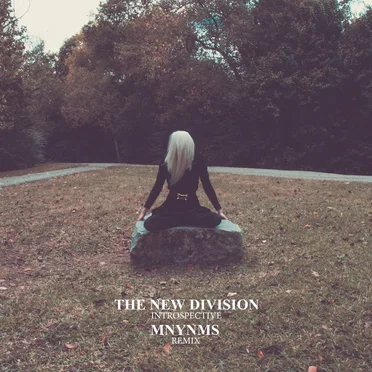 Introspective (MNYNMS remix)
