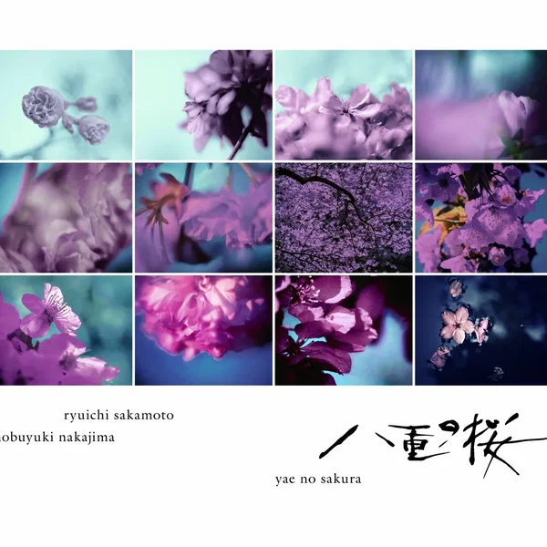 NHK 大河ドラマ ｢八重の桜｣ オリジナル･サウンドトラック コンプリート盤