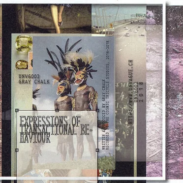Expressions Of Transactional Behaviour by Gray Chalk - album cover