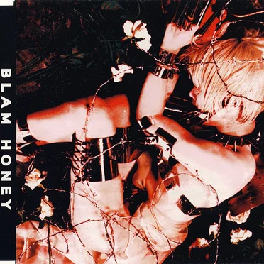 ARTIFICIAL DELUSION by BLAM HONEY - album cover