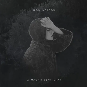 A Magnificent Gray / Memoria