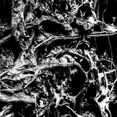 Silver Godling by Silver Godling - album cover