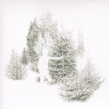 Skogsbo Is the Place by Barr - album cover