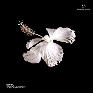 Standing Out EP by Noppo - album cover