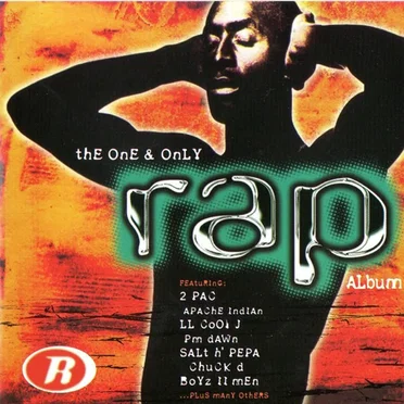The One and Only Rap Album by Various Artists - album cover