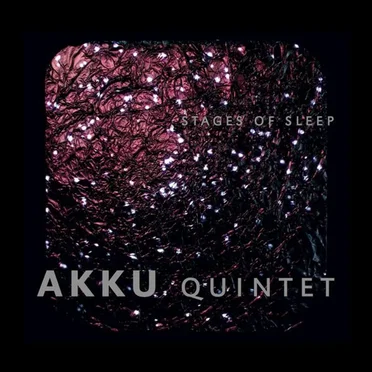 Akku Quintet