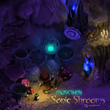 Sonic Shrooms by Muscaria - album cover