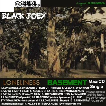 Loneliness / Basement by Black Joey - album cover