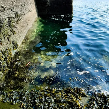 Pier
