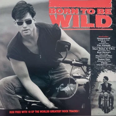Born to Be Wild by Various Artists - album cover