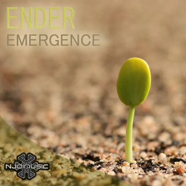 Emergence