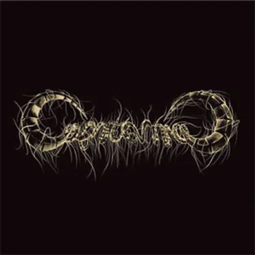 Capricorns by Capricorns - album cover
