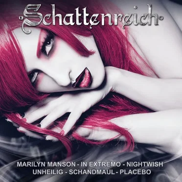 Schattenreich, Volume 6 by Various Artists - album cover