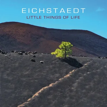 Eichstaedt