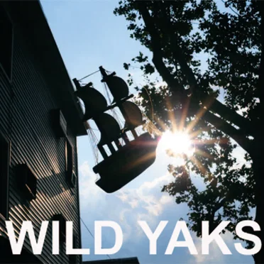 10 Ships (Don't Die Yet!) by Wild Yaks - album cover