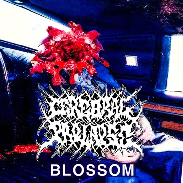 Blossom
