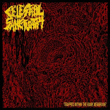 Trapped Within the Rank Membrane (split version) by Celestial Sanctuary - album cover