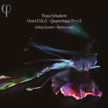 Octet D 803 / Quartettsatz D 703