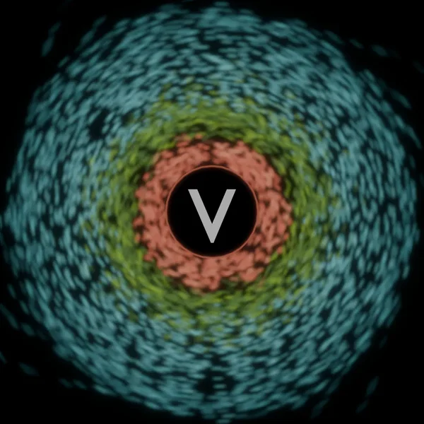 V