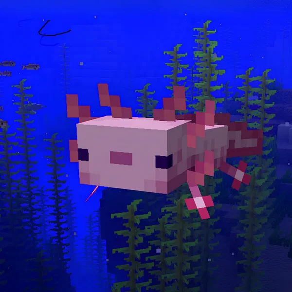 Axolotl in the Ocean