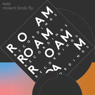 Violent Birds Fly by FLXXX - album cover