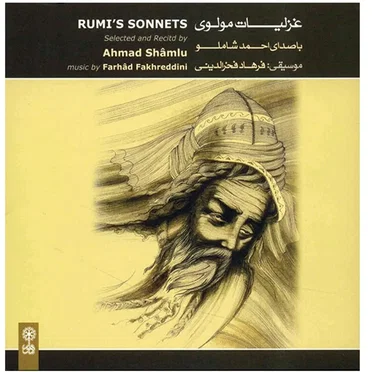 RUMI'S SONNETS