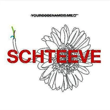 Schteeve