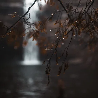 After the Rain