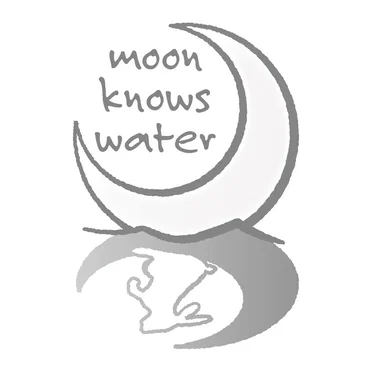 Make Clear By the Light by Moon Knows Water - album cover