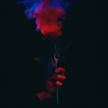 Night Sweats (edit) / SPF