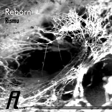 Reborn by Rismu - album cover