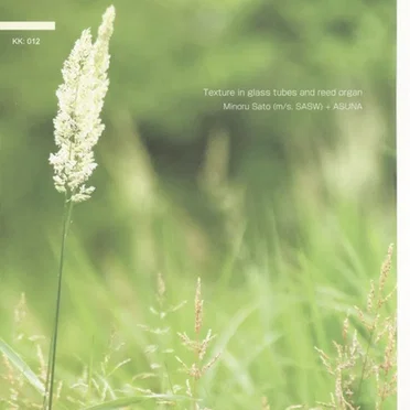 Texture in Glass Tubes and Reed Organ