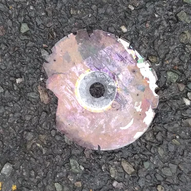 sparkling in sunlight