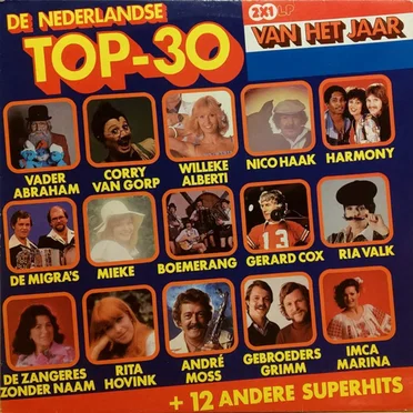 De Nederlandse Top 30 van het jaar by Various Artists - album cover