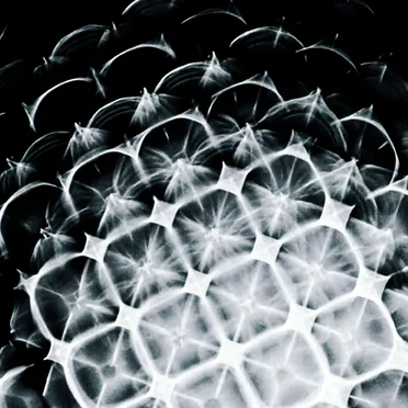 ༦༧༩༢ཧོ༡༥༠།ེཀབ །