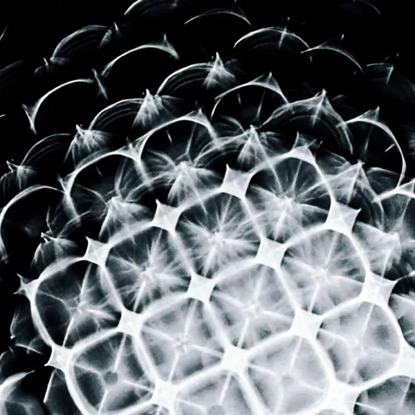 ༦༧༩༢ཧོ༡༥༠།ེཀབ །