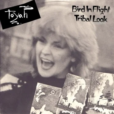 Bird in Flight by Toyah - album cover