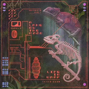 Life in Warp