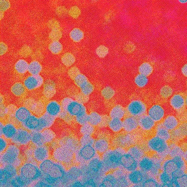 Spectrum by Razor Red Noise - album cover