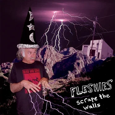 Scrape the Walls by Fleshies - album cover