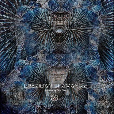 Brazilian Shamans 2 by Various Artists - album cover