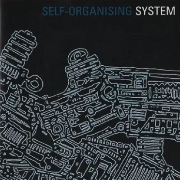 Self-Organising System
