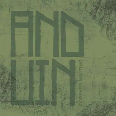 Forever Waiting by Anduin - album cover