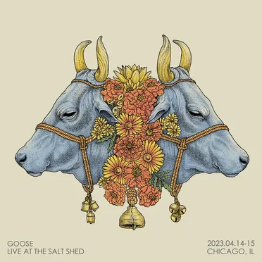 Live at The Salt Shed